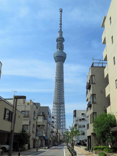 東京スカイツリーA　タワービュー通り再訪問　☆塔直下～634ｍの距離を実感　　　