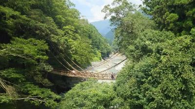 足がすくむ！かずら橋