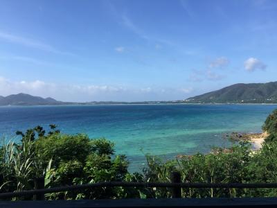 今年も奄美大島ひとり旅3日目 最終日