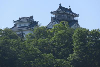 2016春、福井県の名城(11/15)：越前大野城(1)：城下町、芍薬の花、天空の城へ