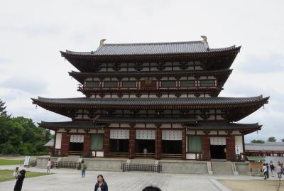 2016梅雨、奈良の世界遺産(1/9)：薬師寺(1)：名古屋から電車で西ノ京へ、薬師寺、西塔