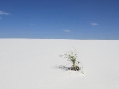 Colorado・Utah・New Mexico・Texas《4》～White Sands National Monument～