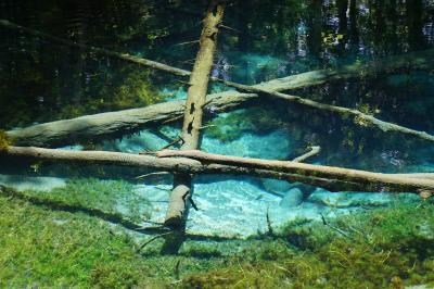 楽しんだぜ！！　２０１６　北海道 　『神の子池の水は透明度も有り凄くきれい♪天気の網走監獄もよかった♪稚内までオホーツク海沿いを走り約７時間で稚内に到着☆』　ＩＮ　神の子池、網走