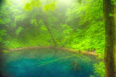 新緑の青森でマイナスイオンを全身に浴びて…蔦沼～奥入瀬～白神山地で梅雨を感じる。