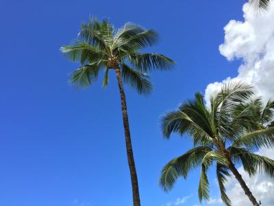 庶民のハワイ(*´Д`)2015☆10