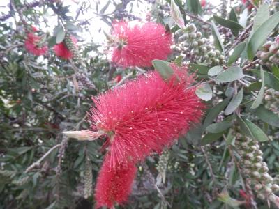 2016 スペイン・ポルトガルの旅4 ポルト1日目 ドン・ルイス1世橋、サンベント駅へ