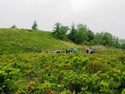 レンゲツツジが全山朱色に染める甘利山・千頭星山に登る