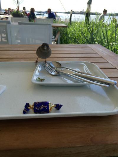 2度目の海外旅行も1人旅！ウィーン時々ヘルシンキ【the last day　最後まで楽しい旅を】