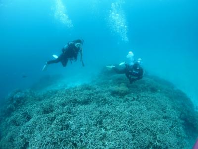 〈梅雨の沖縄弾丸旅行〉感動の青の洞窟&amp;日航アリビラ滞在