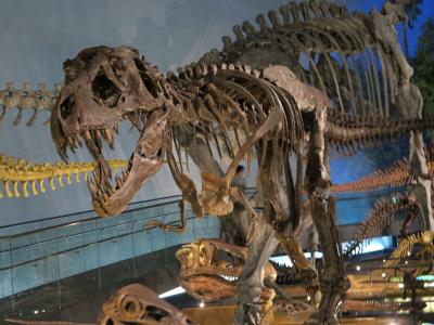 ◎福井恐竜博物館と永平寺