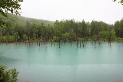 初夏の北海道・道央-道北の旅2016②～美瑛・富良野～