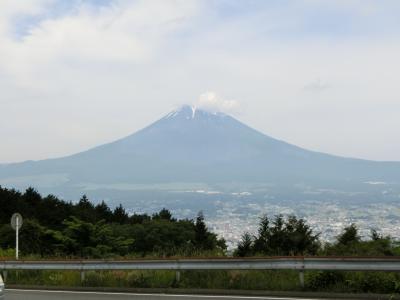 何十年かぶりに箱根仙石原へ その2