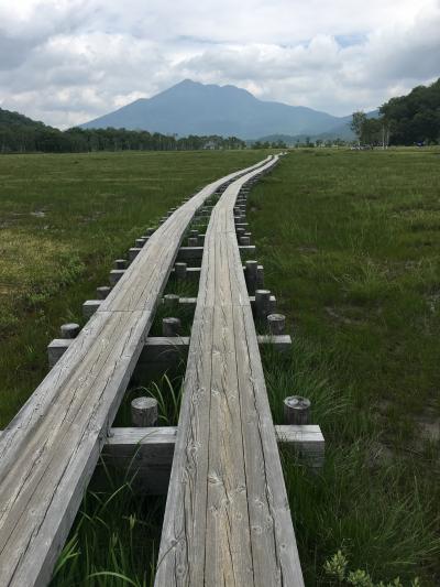 尾瀬が原 　ひたすら歩いた一本道。