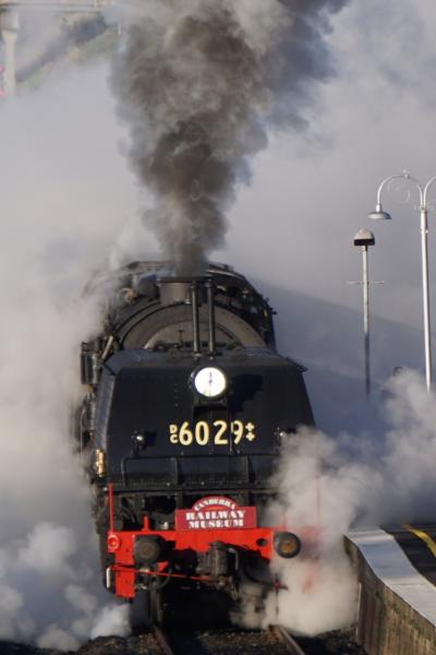 オーストラリアのガーラット式SLを追って Orange Steam Shuttles