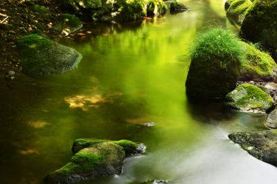 緑の清流の森　　