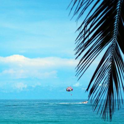 椰子の木に囲まれた楽園を原付でグルっと in サムイ島★2016　08　8日目　【サムイ島】