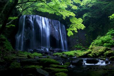 ◆緑風渡る初夏の達沢不動滝