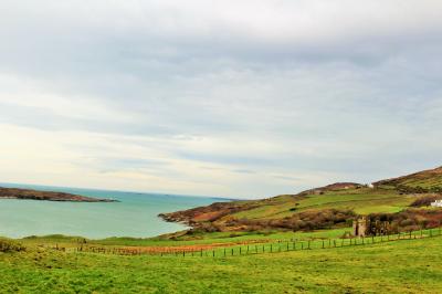 2016年 アイルランド一人旅 CRIFDEN/帰国