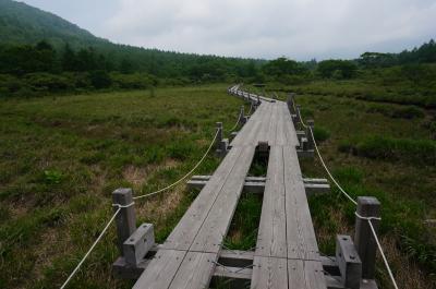 恐ろしい程の強風で、登山は諦めて那須岳周辺を歩く♪②（沼原湿原散策）