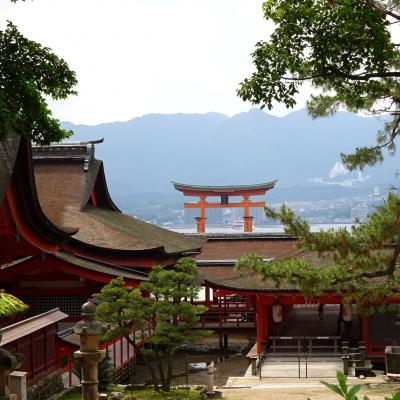 宮島ぶらぶら散歩！大聖院や鹿や夜の鳥居（日帰り）