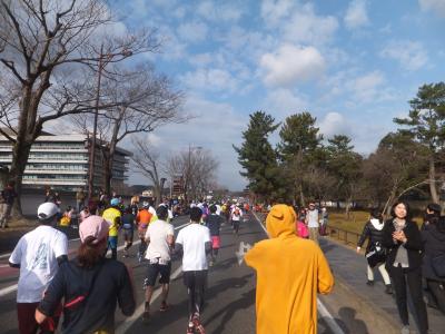 2015 初奈良マラソンと関西観光【その１０】なんとかゴール。