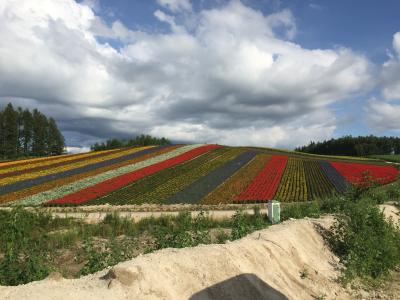 北海道・道北+富良野ぐるっと旅その2 美瑛・夕張炭鉱跡編