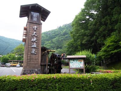 ＜旅鉄子☆大井川鐡道の旅.4＞蛙で眠り鶯で目覚める･･･日本一清楚な温泉地「寸又峡温泉」