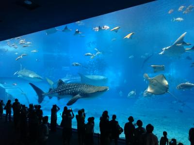 5才児と行く沖縄④~2日目・後半~