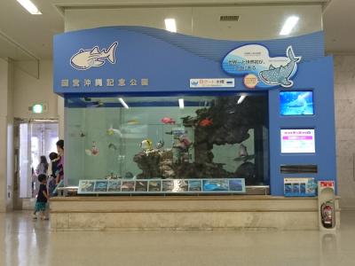 5才児と行く沖縄⑨~6日目・最終日~