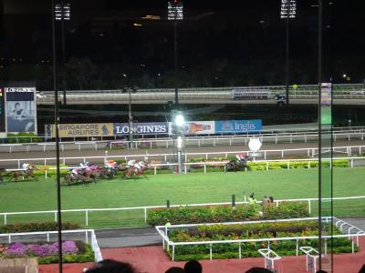 超ハード 7days in Singapore ~(´∇)ノ~ ⑥こ~んな体験も・・・