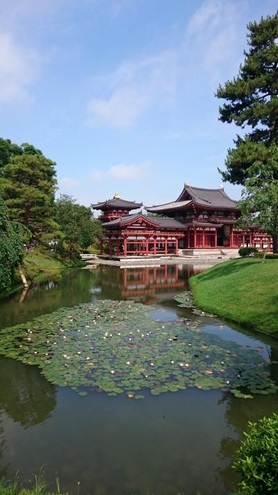 山陽新幹線360分遅延で超タイトな京都観光！