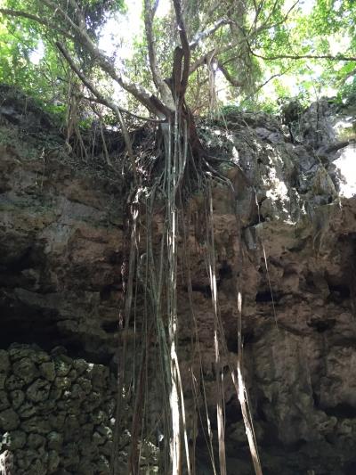 早朝フライト，チョコっとアリビラ