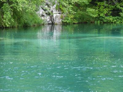 クロアチア・スロベニア他１０日間、リベンジの旅。19　（　感動、　プリトヴィツェ上湖群は下湖群以上に素晴らしかった　①　）