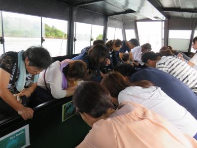 ギ、ギョエェ～～！★！★！バレたら殺される！？★デジカメのSDファイルが壊れて、沖縄本島での息子の結婚式の写真が全部、き、消えたぁ～！！ココにあるのはスマホで撮影した、石垣島・竹富島旅行の一部だけ～(>_<)。急げ修復！