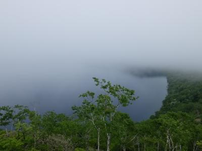 北海道・道東　花へんろ・・・（1）雨に消えた釧路湿原の夕日