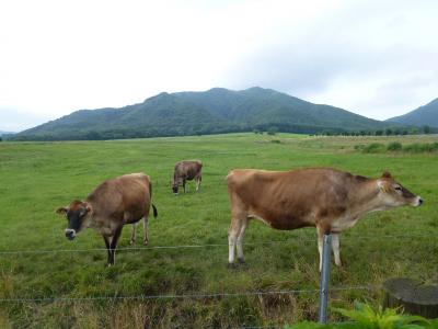 初の夏キャンin蒜山高原 2015