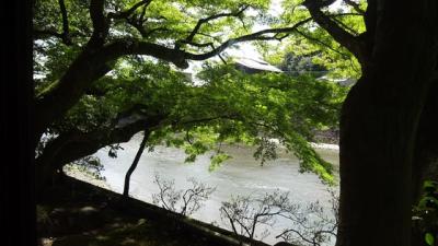 半夏生を京で遊ぶ　高野川沿いの真夏に会席やかま風呂もよし