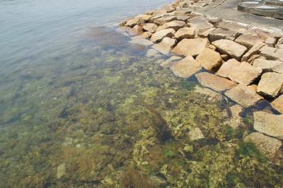 関西散歩記～2016 兵庫・淡路市編～その1「島巡り 2016：淡路島編」