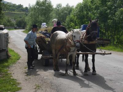 ヨーロッパの田舎　マラムレシュ地方（ルーマニア）をドライブする−その２