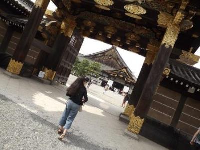 京都・二条城　日本の美を再び味わう