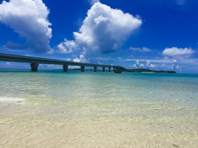 5年連続5回目の宮古島☆天気にもウミガメにも恵まれてまさに天国！②