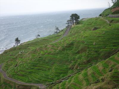 2016年　7月　石川県　白米千枚田