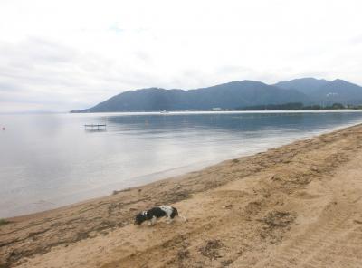 琵琶湖周遊しない旅　湖北