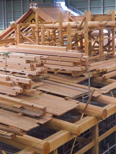 名古屋-6　名古屋城e　本丸御殿復元　素屋根内工事を見学　☆二之丸庭園も