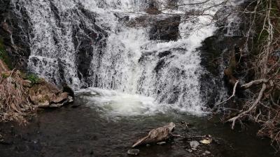 中禅寺湖と龍頭の滝