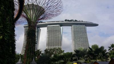 シンガポールの旅 4泊6日【1日目】主にガーデンズ・バイ・ザ・ベイ