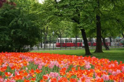 プラハとウィーン春旅④。