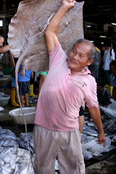 幻のエイを追い求めて、ポンティアン魚市場へ。 （@Pasar Awam Pontian, Pontian Kecil, Malaysia）
