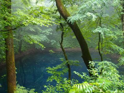 世界遺産 白神山地の青池と秋田満喫の旅