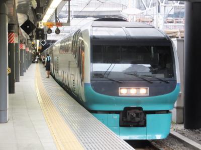 特急『スーパービュー踊り子 3号』乗車記